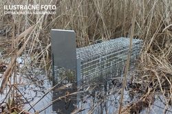 Profesionálna pasca na líšky, kuny, vydry a mačky TRAP ST130x34x34K