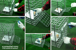 Profesionálna pasca na líšky, kuny, vydry a mačky TRAP ST130x34x34K