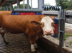 Škrabadlo pružinové KERBL 29325 EUROFARM