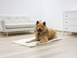 Termodeka pre psov a mačky KERBL 80377 THEO, 120x75 cm