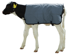 Termodeka pre teľatá KERBL 14156 RIPSTOPP 80 cm