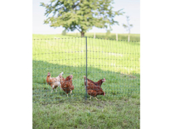 Vodivá sieť pre hydinu KERBL 292413 PREMIUM, 122 cm x 50 m / 2 hroty