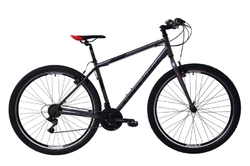 Horský bicykel Capriolo LC 9.0 MTB 29"/21" šedo-čierny 2024