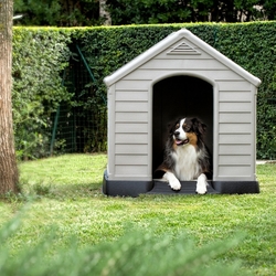 Búda pre psov Curver Dog House šedá