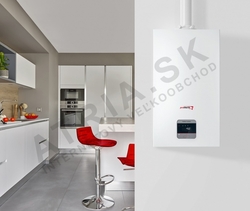 Protherm Panther Condens 30 KKO