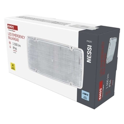 LED Núdzové svietidlo NESSI 10W 3h IP66