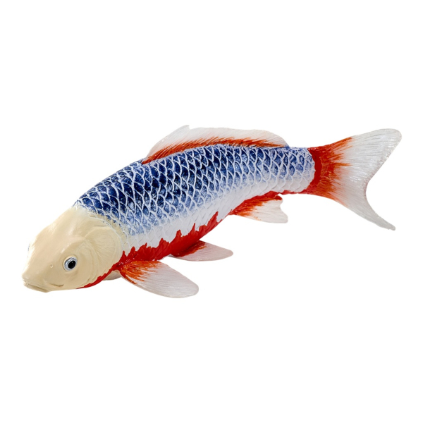 Mojo Kapor koi asagi