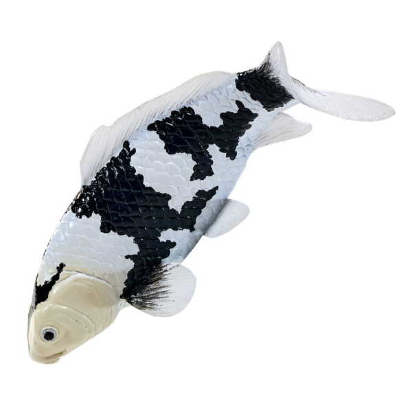 Mojo Kapor koi shiro utsuri